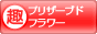 ��̣�֤� �ץꥶ���֥ɥե������֥�����󥭥�