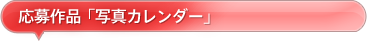 応募作品「写真カレンダー」